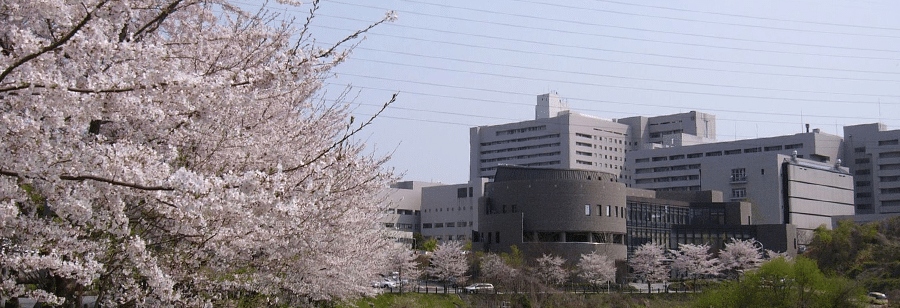 Osaka University