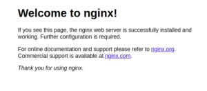 Installing the LEMP stack (Linux, Nginx, MySQL, PHP) on Ubuntu 20.04 9
