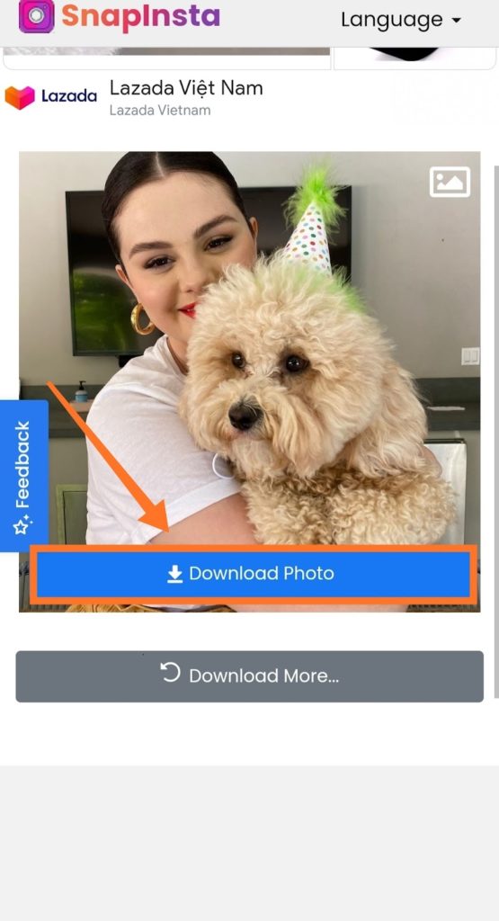 How to get Instagram photos unlimited with Instagram downloader SnapInsta 5