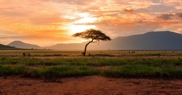 Top Reasons to Visit Kenya