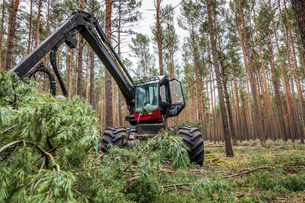 3 Tips for Buying a Forestry Mulcher Attachment