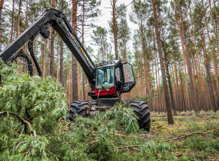 3 Tips for Buying a Forestry Mulcher Attachment